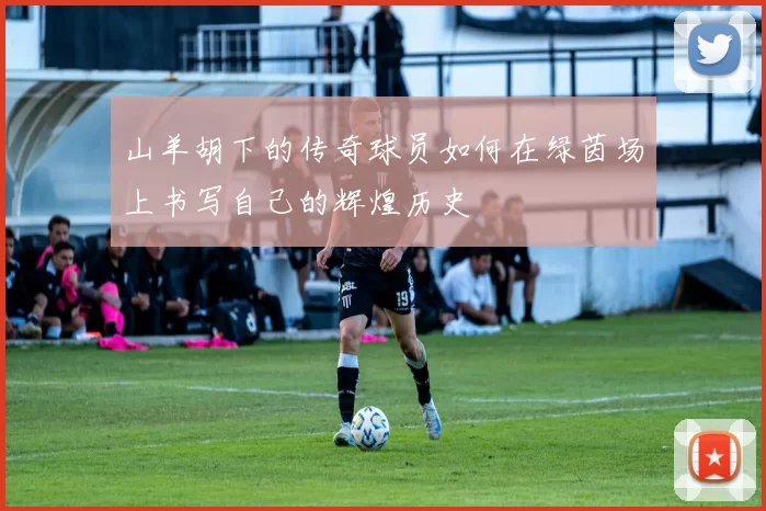 山羊胡下的传奇球员如何在绿茵场上书写自己的辉煌历史