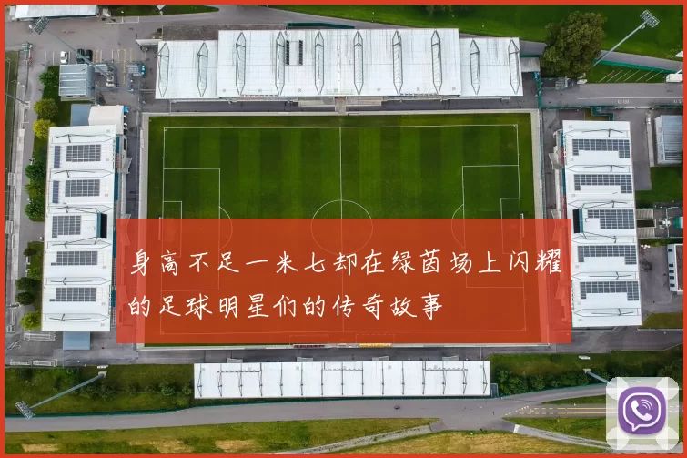 身高不足一米七却在绿茵场上闪耀的足球明星们的传奇故事