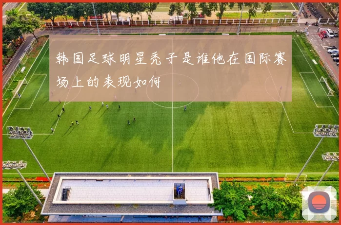 韩国足球明星秃子是谁他在国际赛场上的表现如何