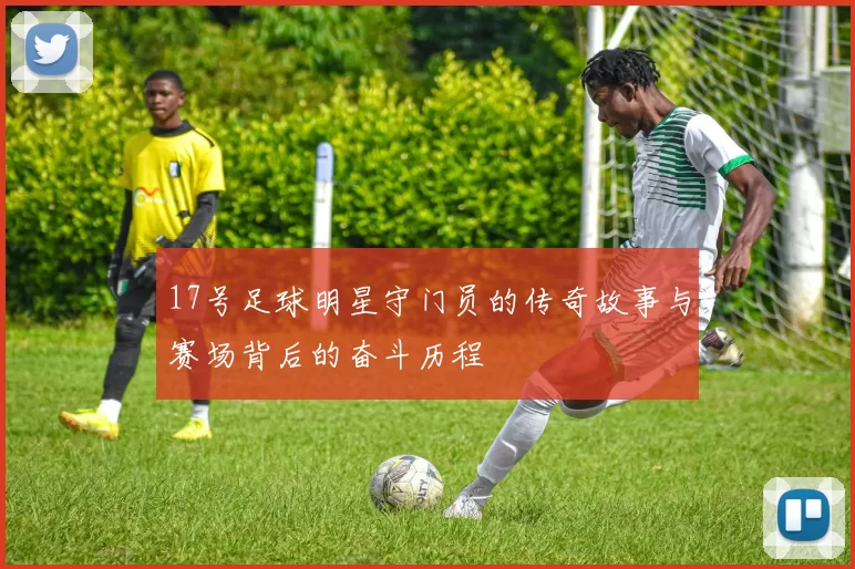 17号足球明星守门员的传奇故事与赛场背后的奋斗历程