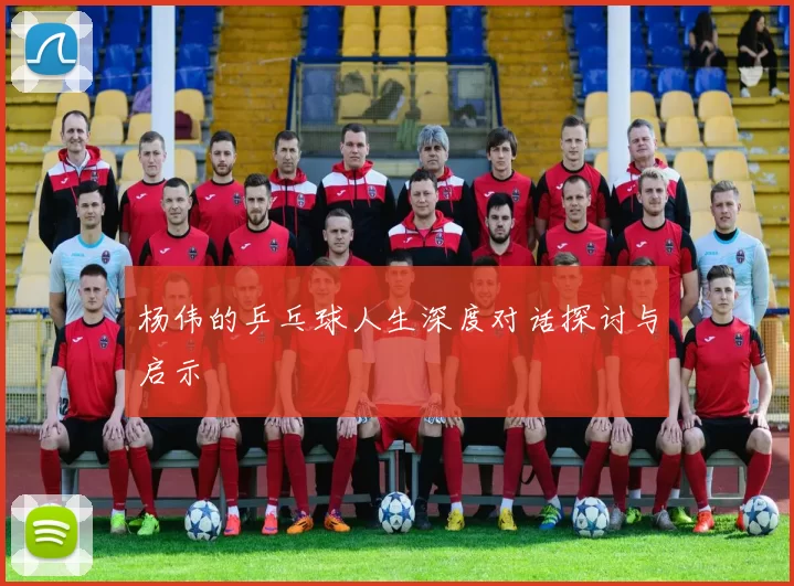 杨伟的乒乓球人生深度对话探讨与启示