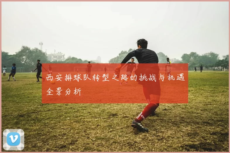 西安排球队转型之路的挑战与机遇全景分析