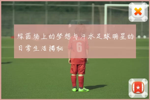 绿茵场上的梦想与汗水足球明星的日常生活揭秘