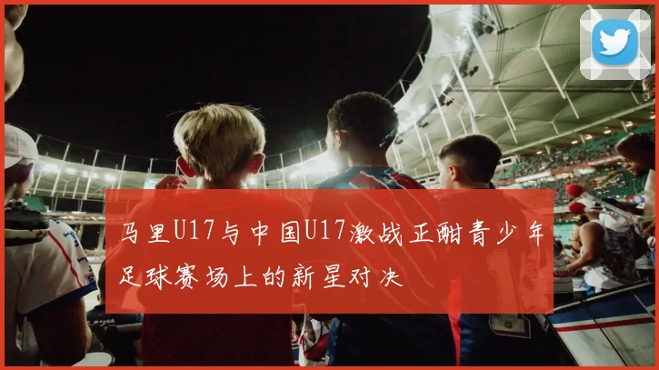 马里U17与中国U17激战正酣青少年足球赛场上的新星对决