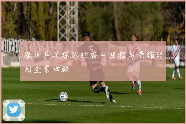 深圳乒乓球队的奋斗历程与荣耀时刻全景回顾