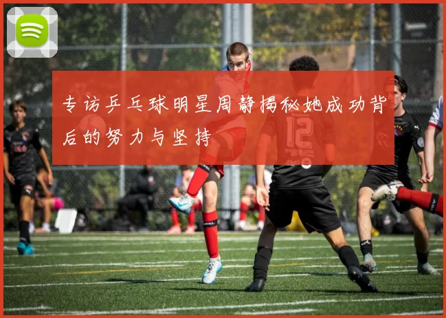 专访乒乓球明星周静揭秘她成功背后的努力与坚持